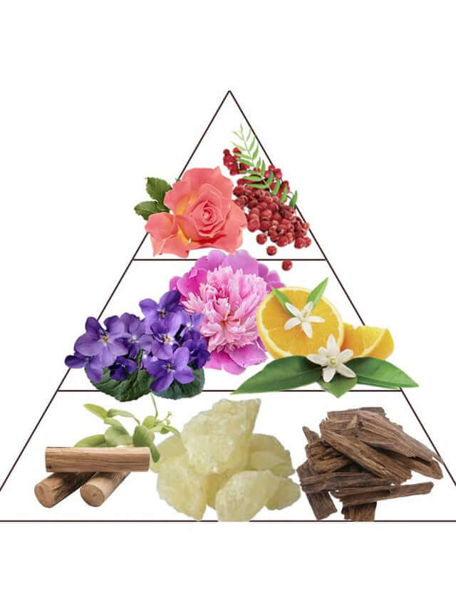 Blanche Musk - Extrait de Parfum | Luxury White Musk Perfume Made in France