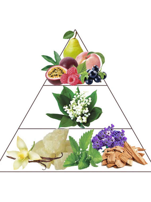 Pyramid of fragrance notes featuring fruits, flowers, and woody aromas for luxury fruity musk perfume.