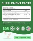 Berberine HCL Supplement - 60 Capsules