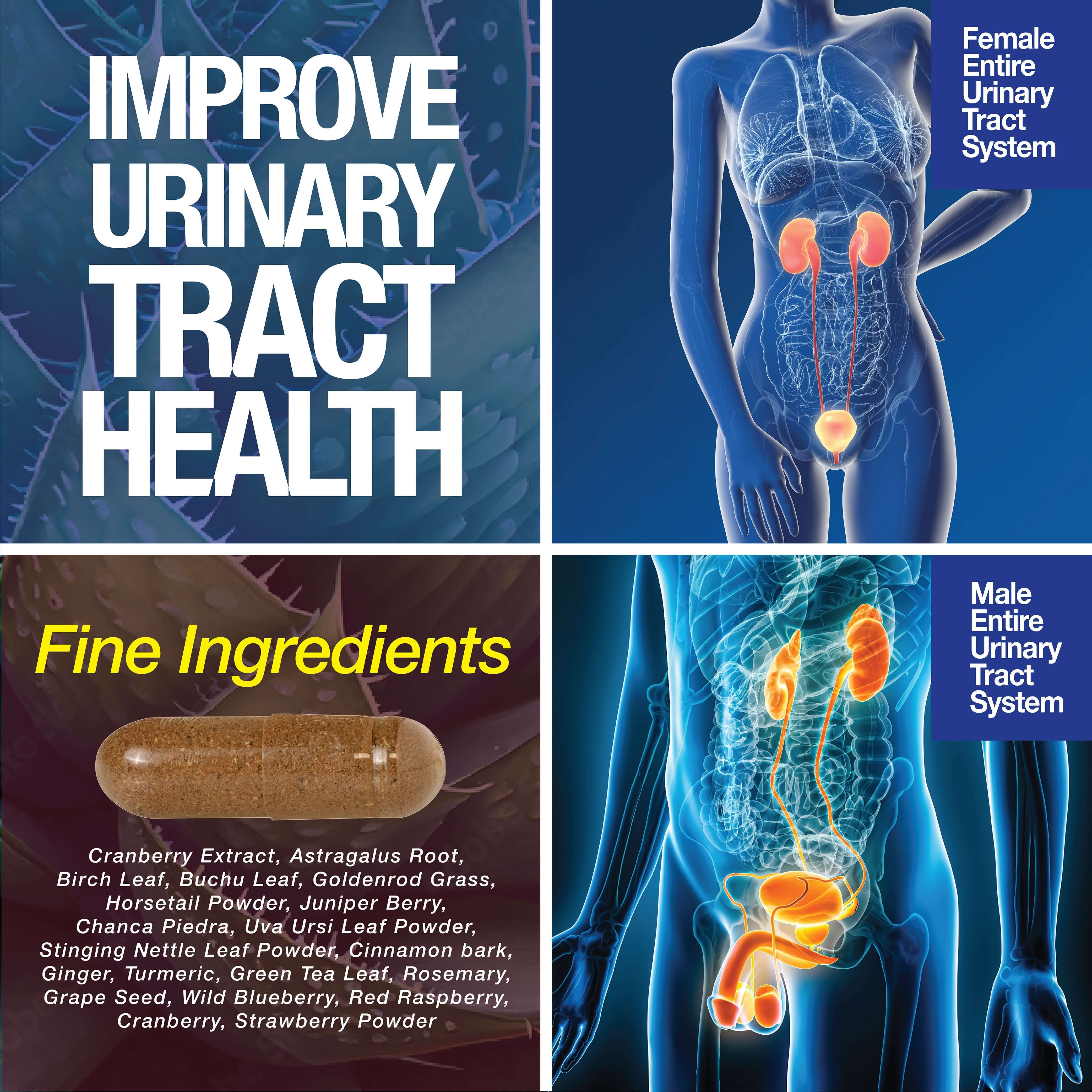 Kidney Support Cleanse Detox & Repair -120 Capsules - Cranberry & Astragalus Root Pills