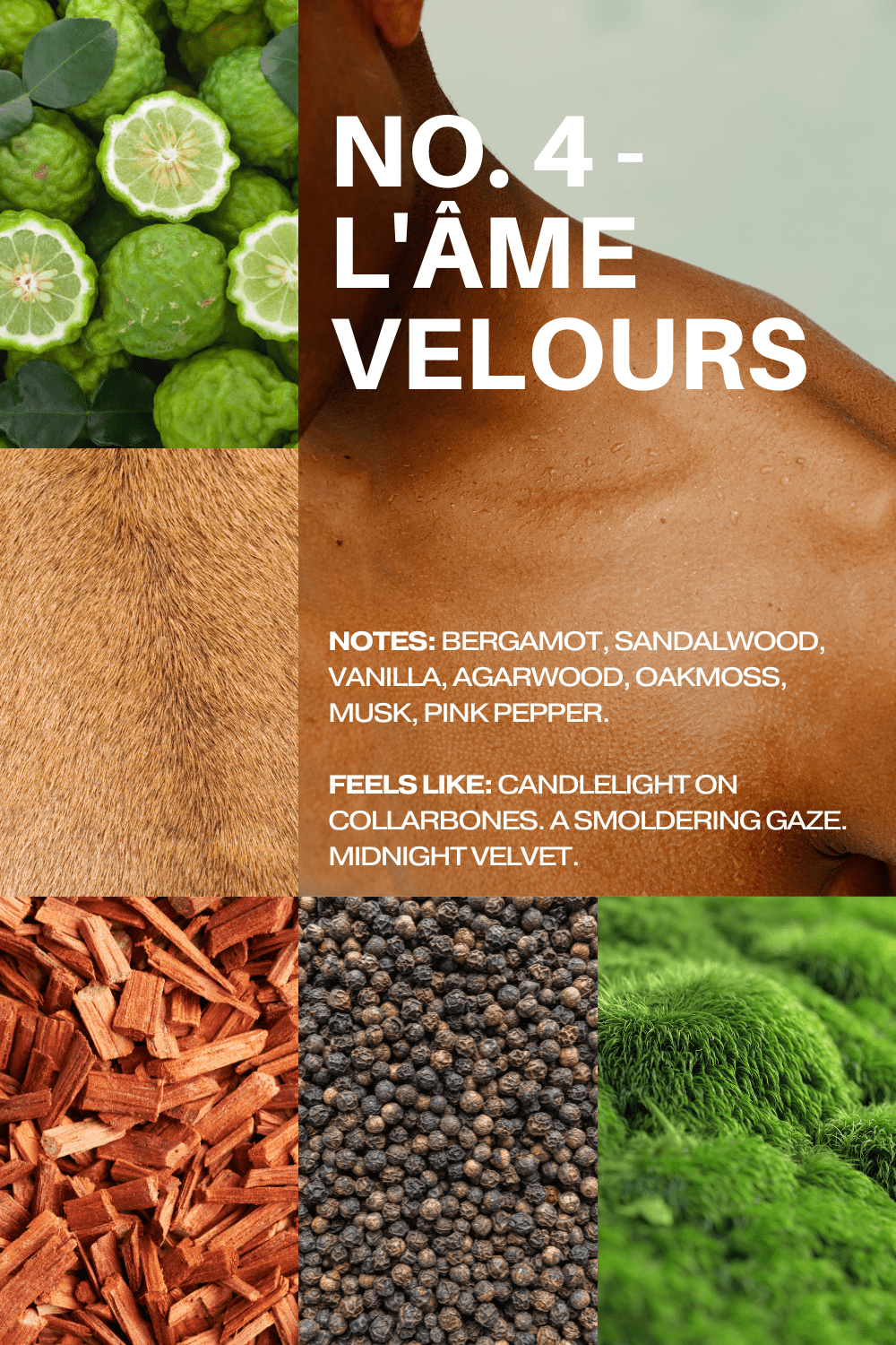 Product packaging with natural elements and text about scents and notes.